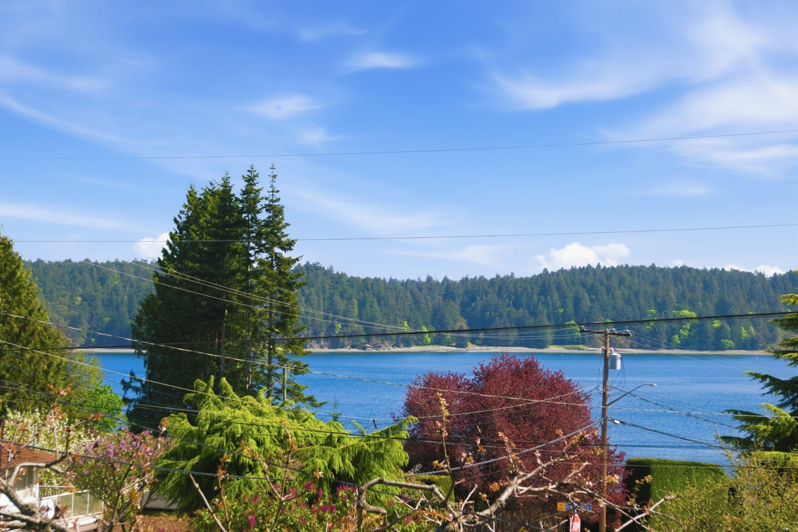 Ocean view over Departure Bay from 3006 King Richard Drive